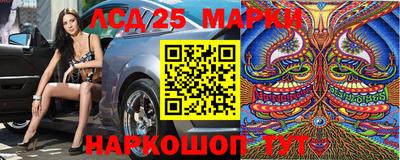 МДПВ Краснознаменск