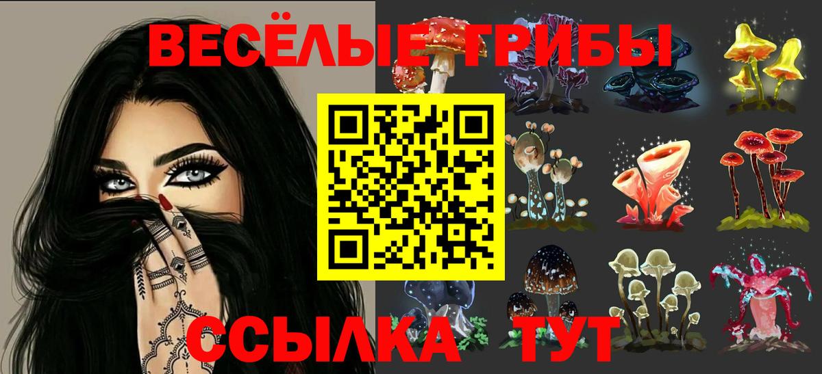 Псилоцибиновые грибы GOLDEN TEACHER Аксай